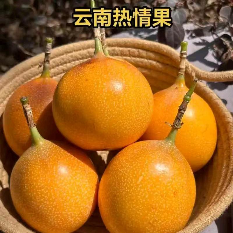 云县查李果农副产品优品店