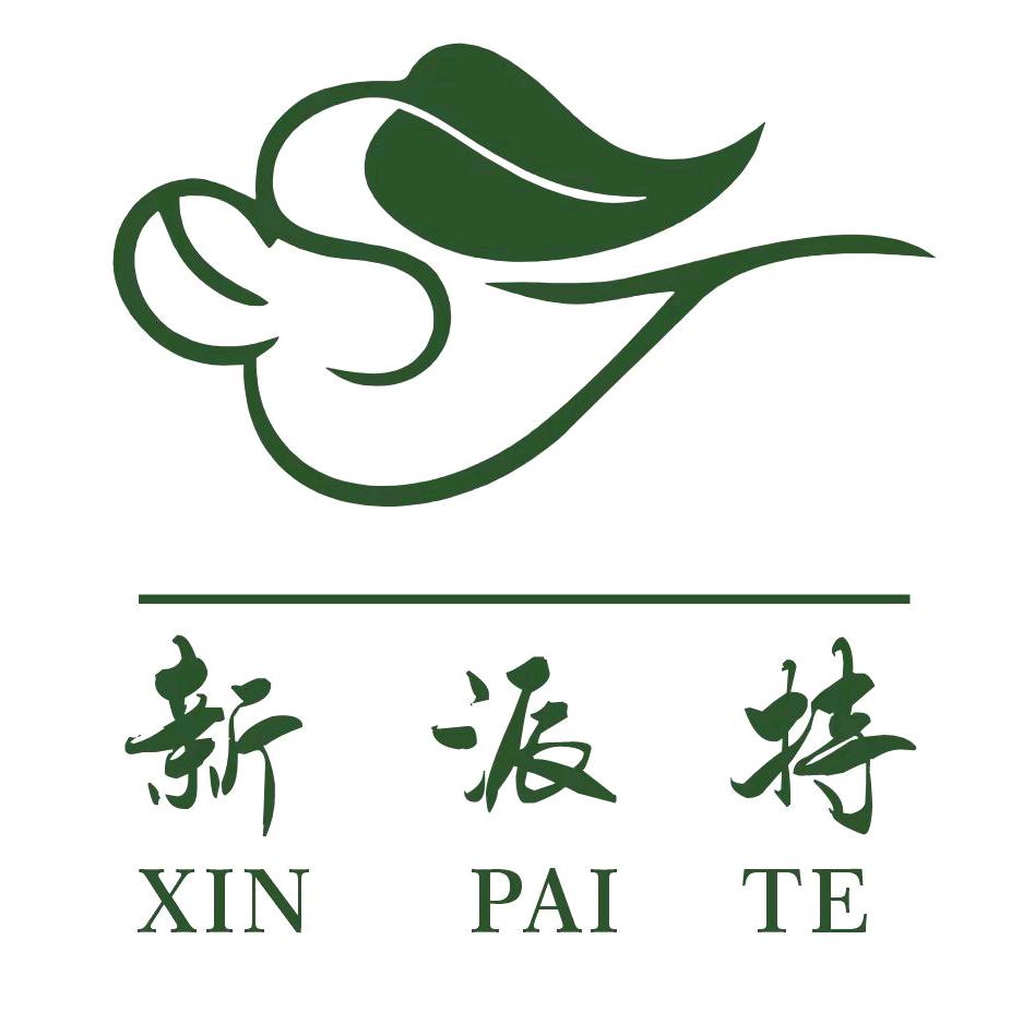 新派特旅行箱