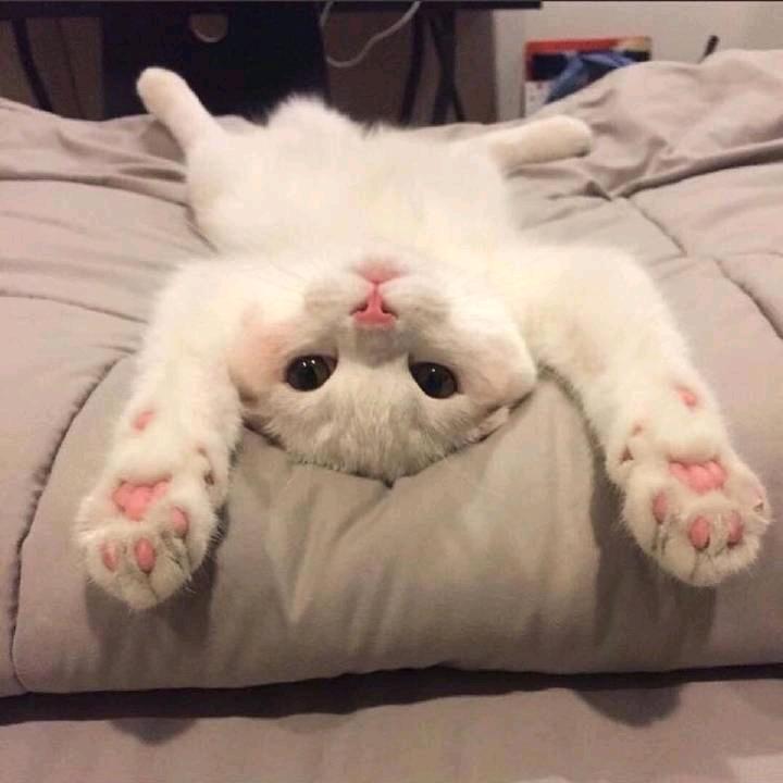 Tina