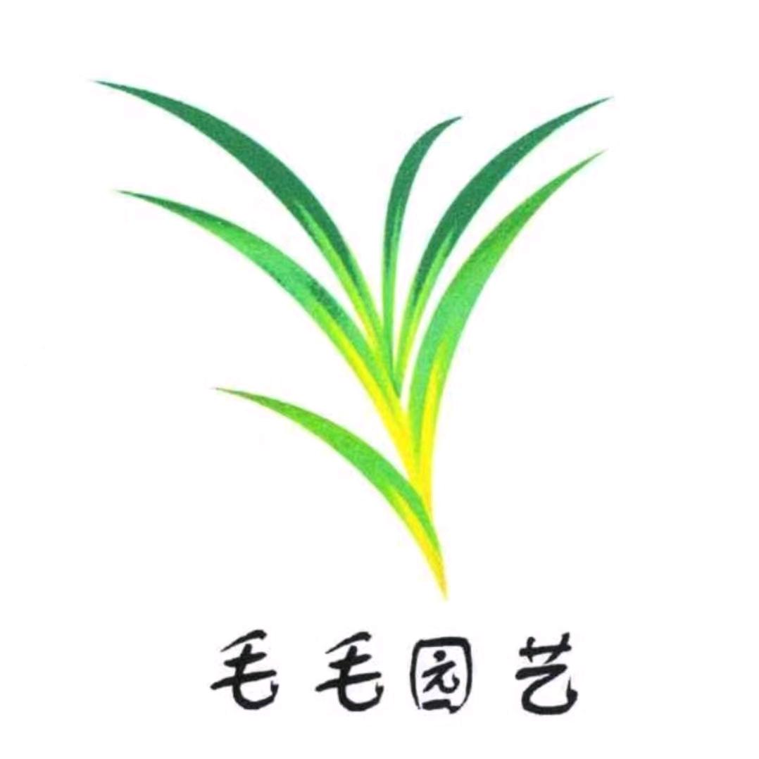 毛毛园艺店企业店