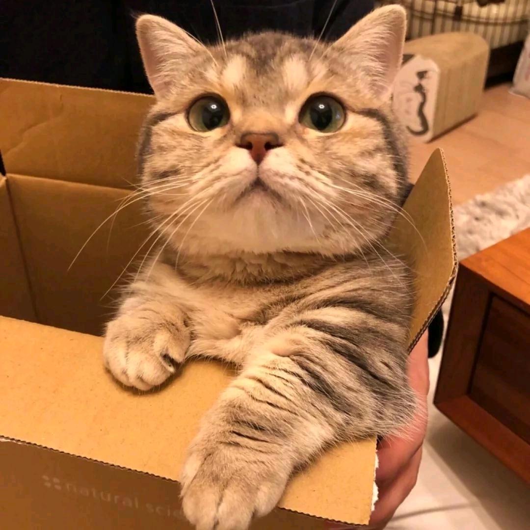 小花火