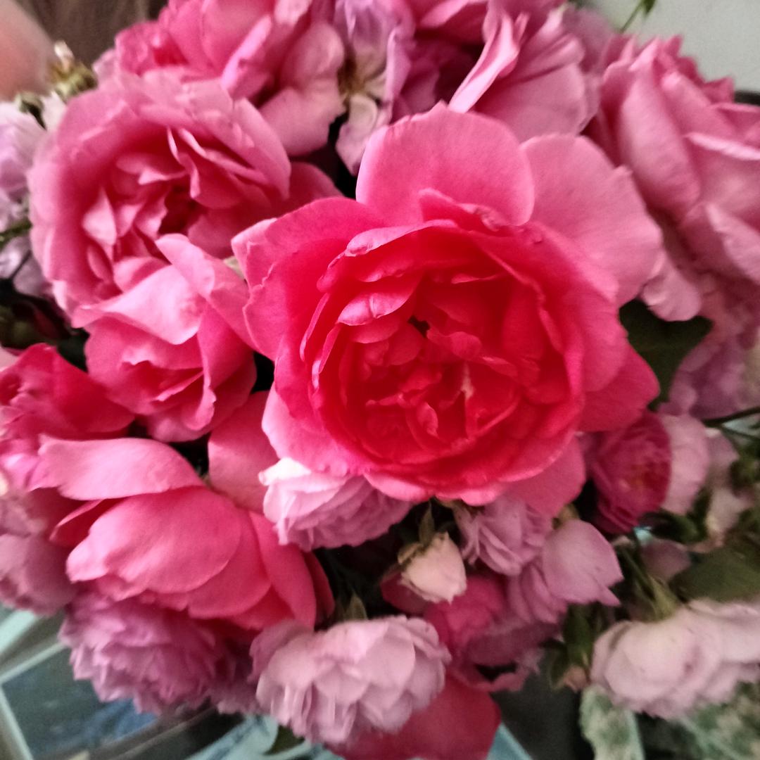 余生我要好好爱自己🙏🙏🙏