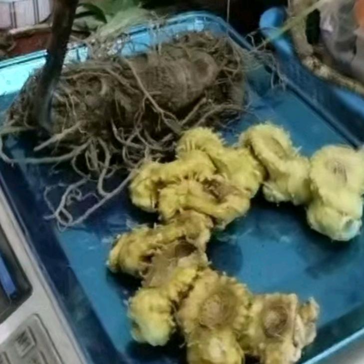 快滋养《云贵川土货》