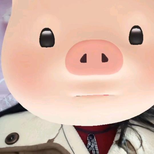 我来人间浪一圈