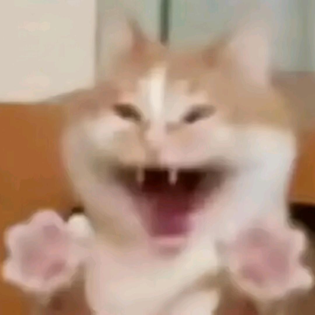 垂天之叶