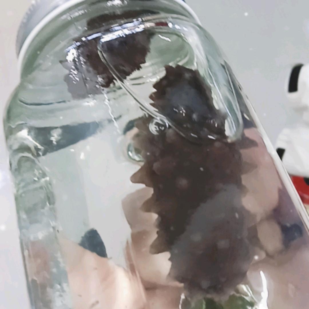 海参源头工厂