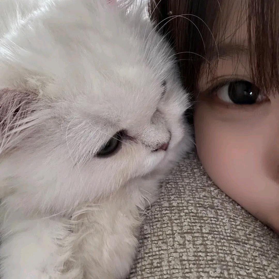 小花猪爱笑