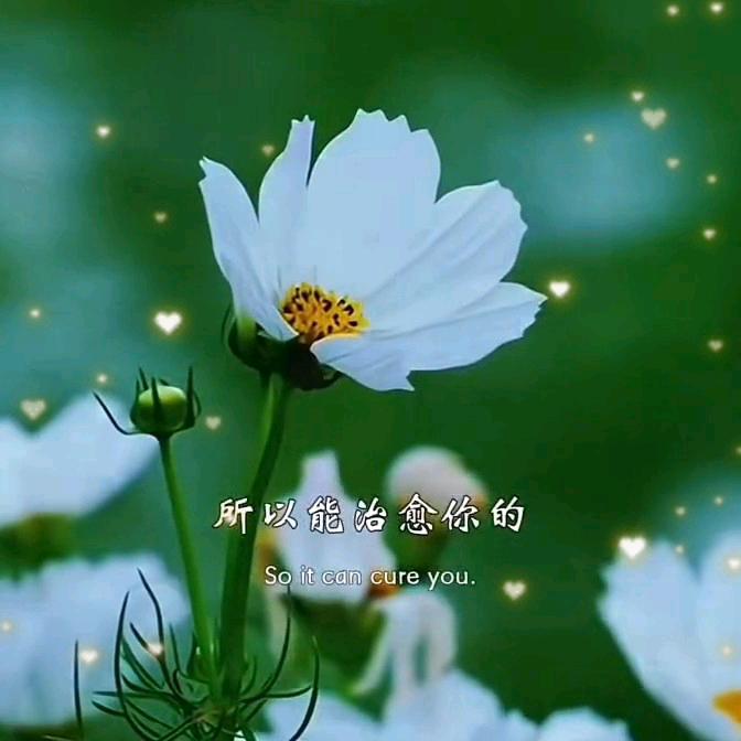 用户5797803168911丽