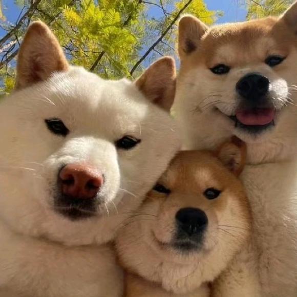 万里__