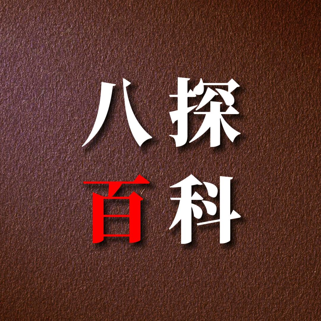 八探百科