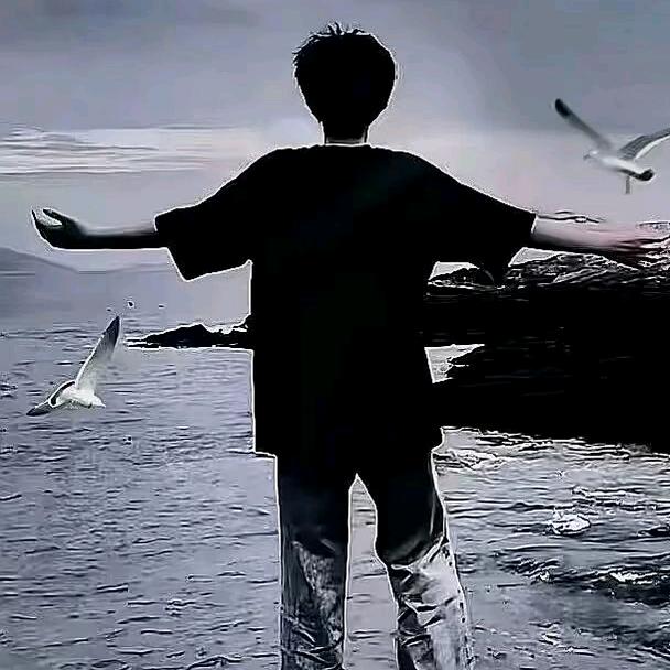 桂凤