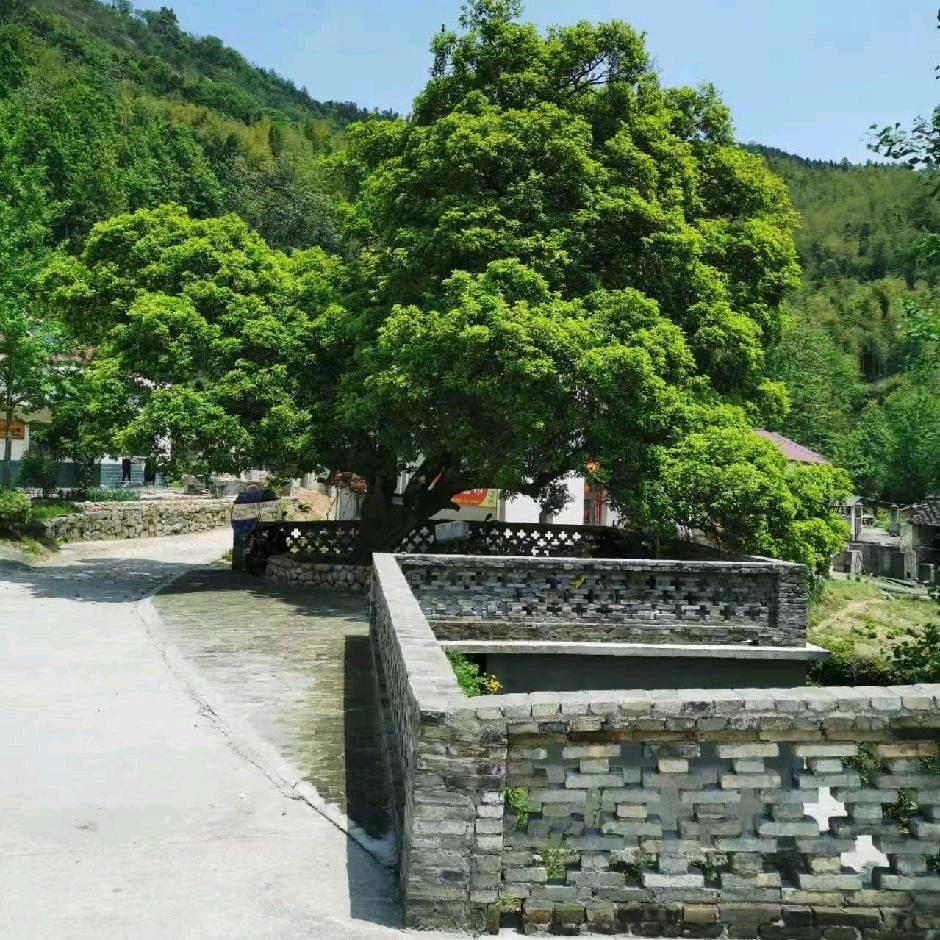 人生没有下一次