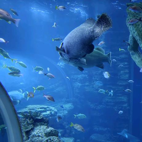 知心燕姐有话说