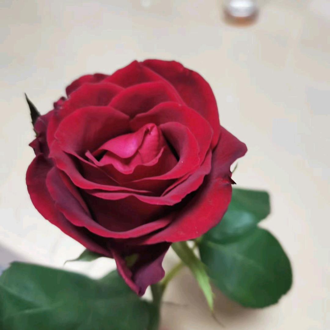 熟悉的陌生人🌈🌈