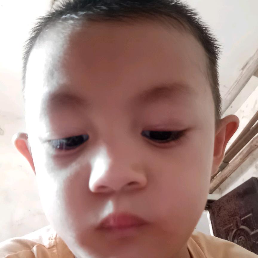 赣州橙子
