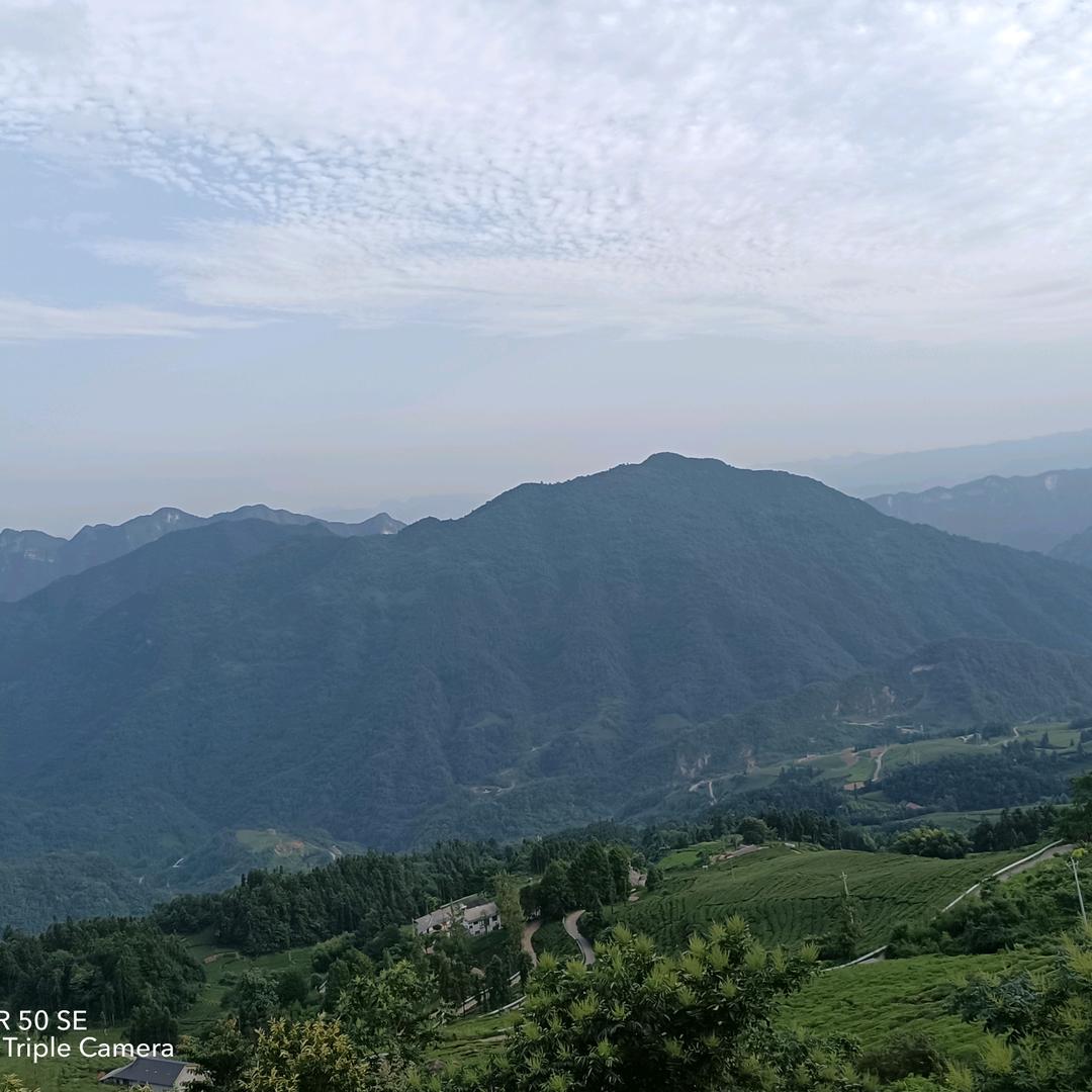 没心没肺   活着不累