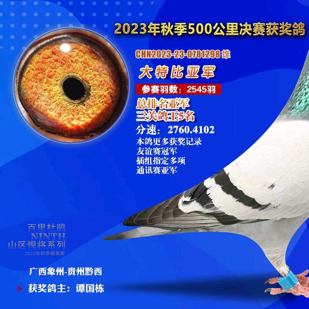 5288鸽业精选店