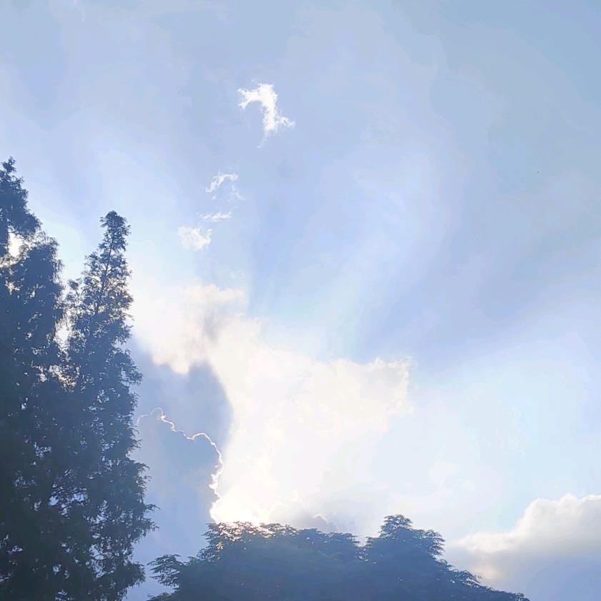 江城C🌏C🌏