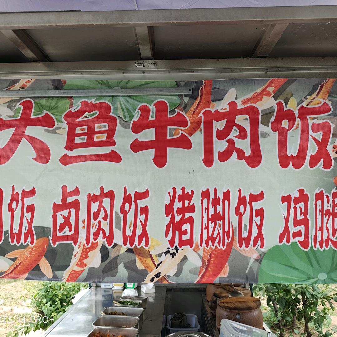 大鱼牛肉饭-凯