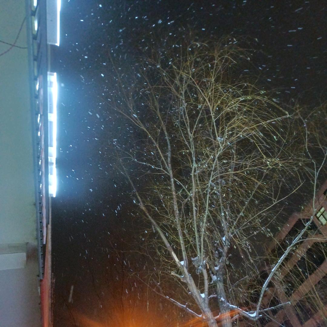 心向明月