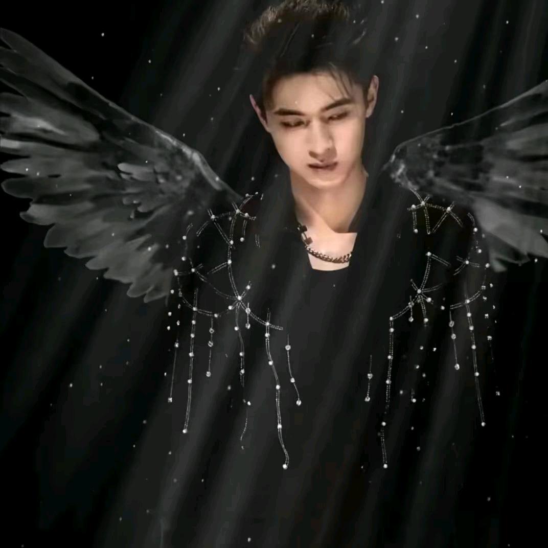 秦霄贤的白月光