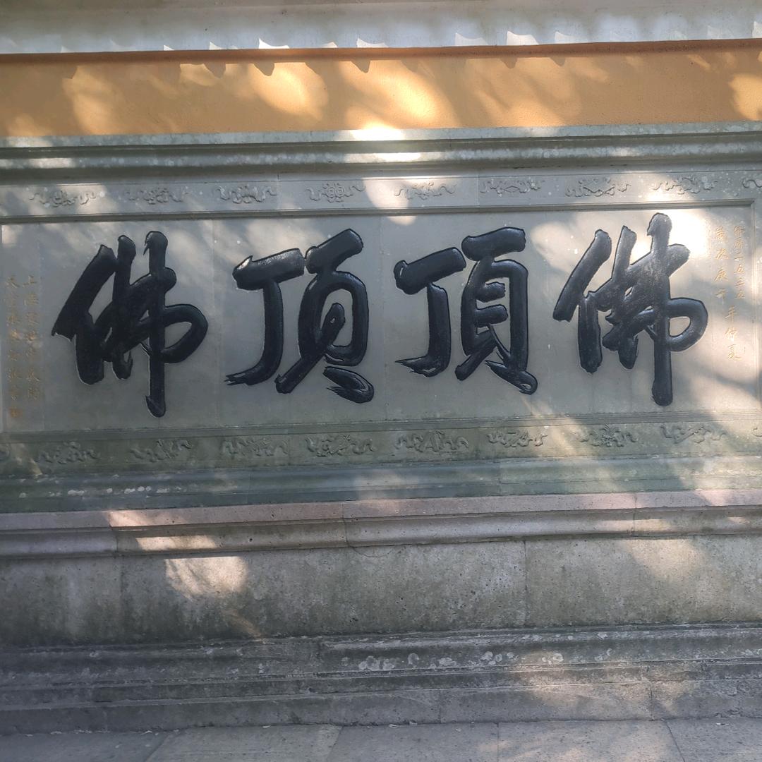 吾将上下而求索