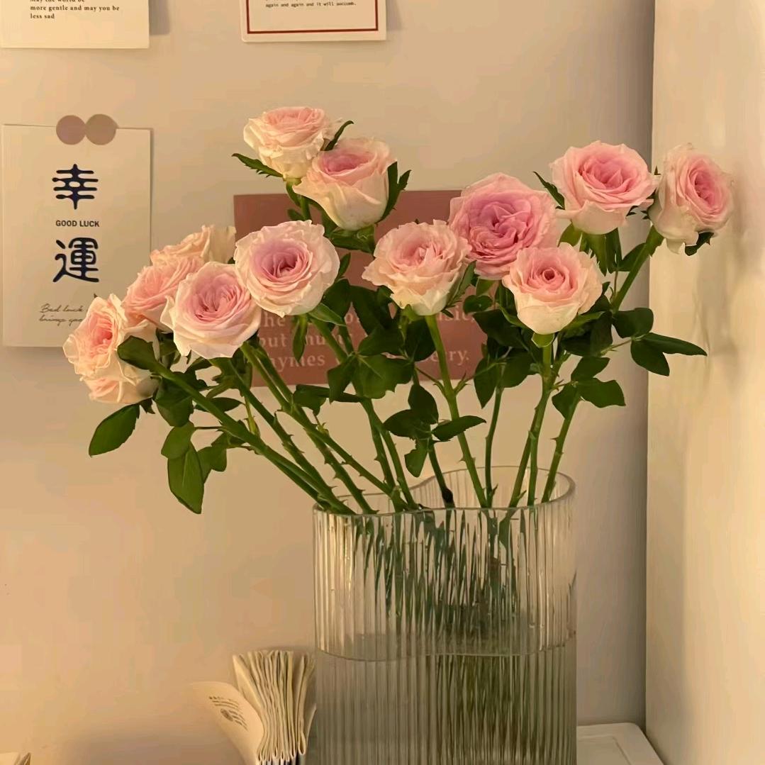 阜南帘创优家窗帘墙布