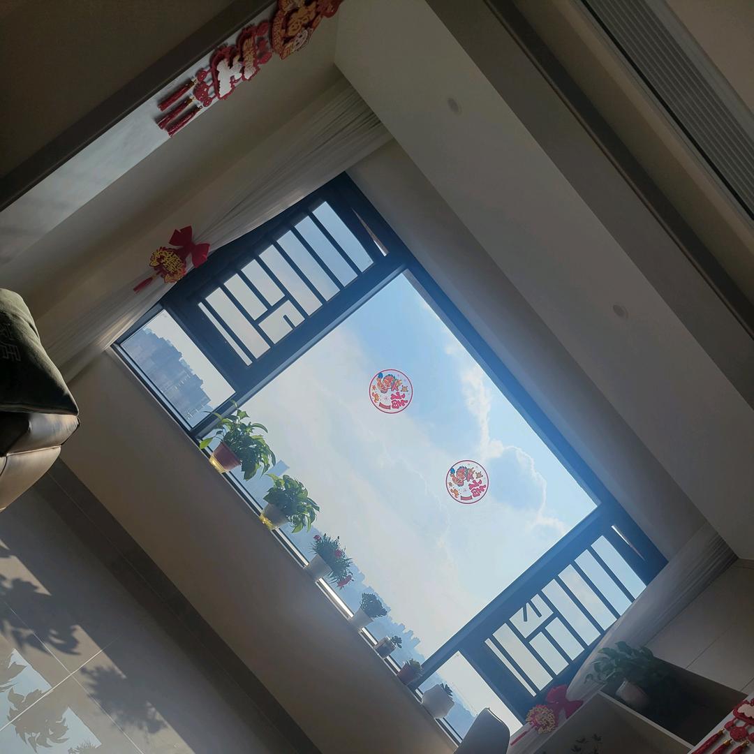 仪姐