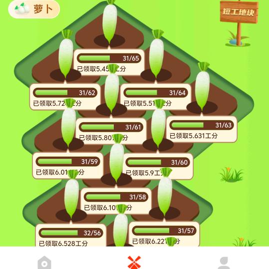 种萝卜。