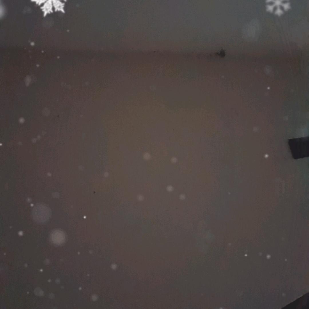 傻丫头一个