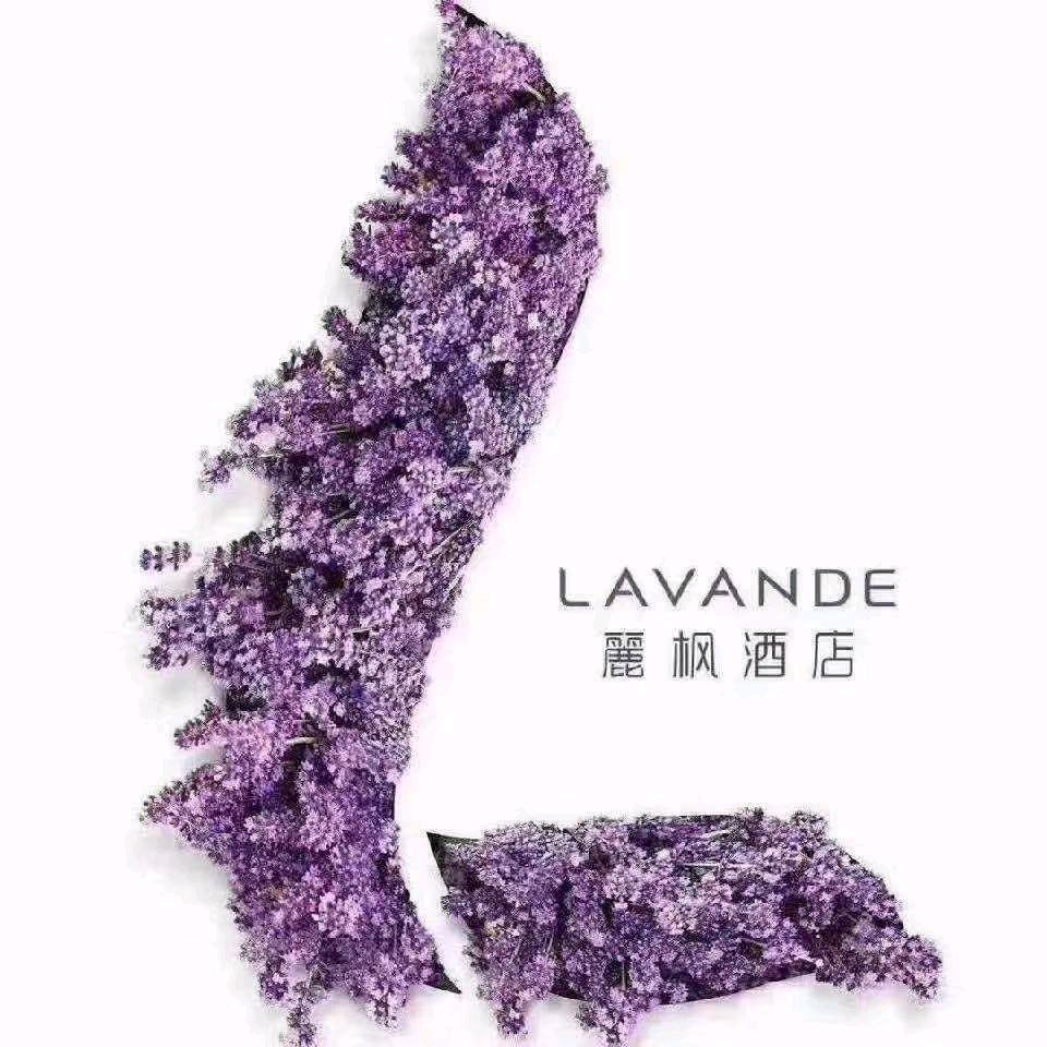 麗枫酒店（萍乡润达国际高铁站店）