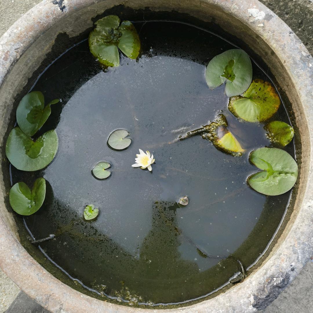 中星嘉新材料科技