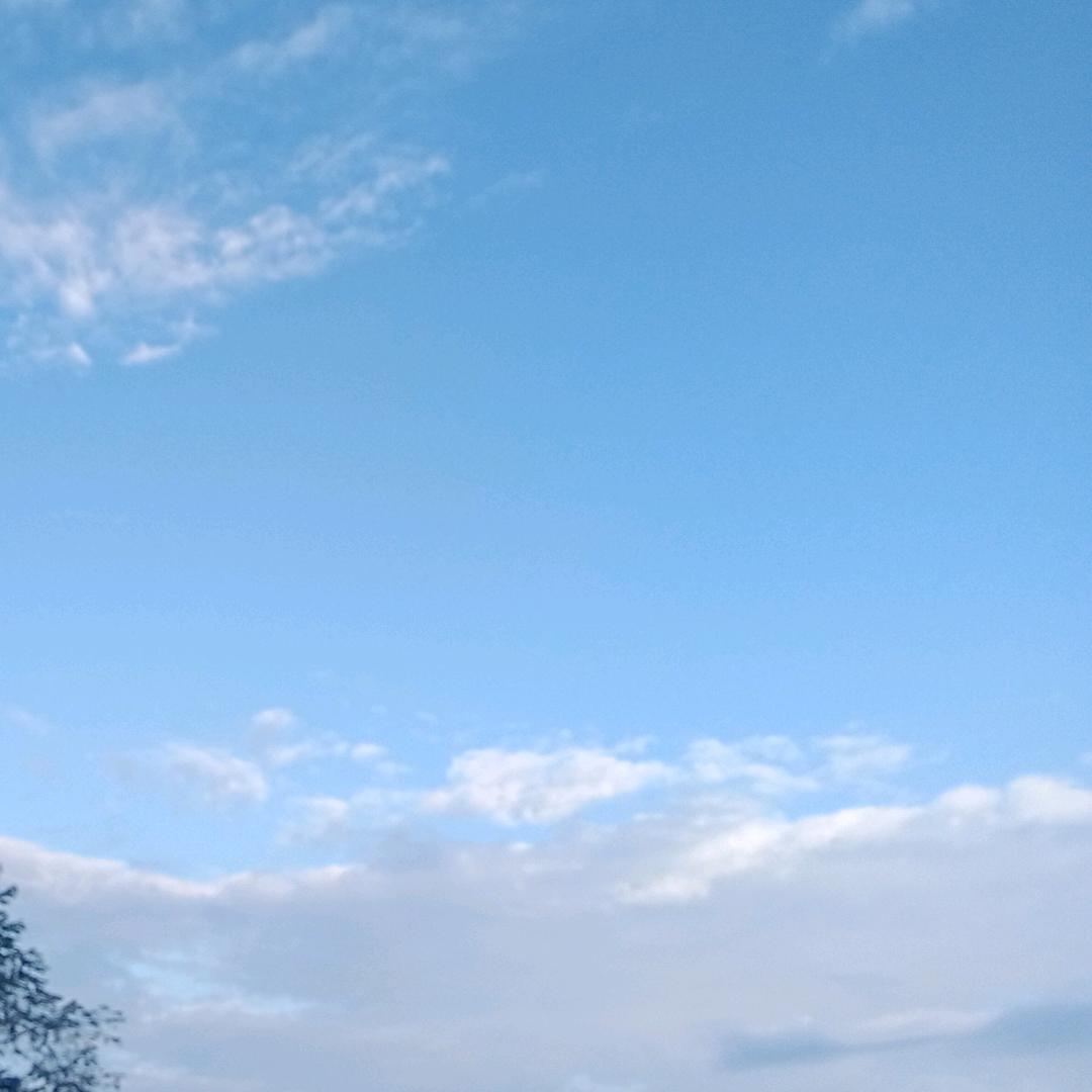 百货，车辆，广告，茶叶，装修
