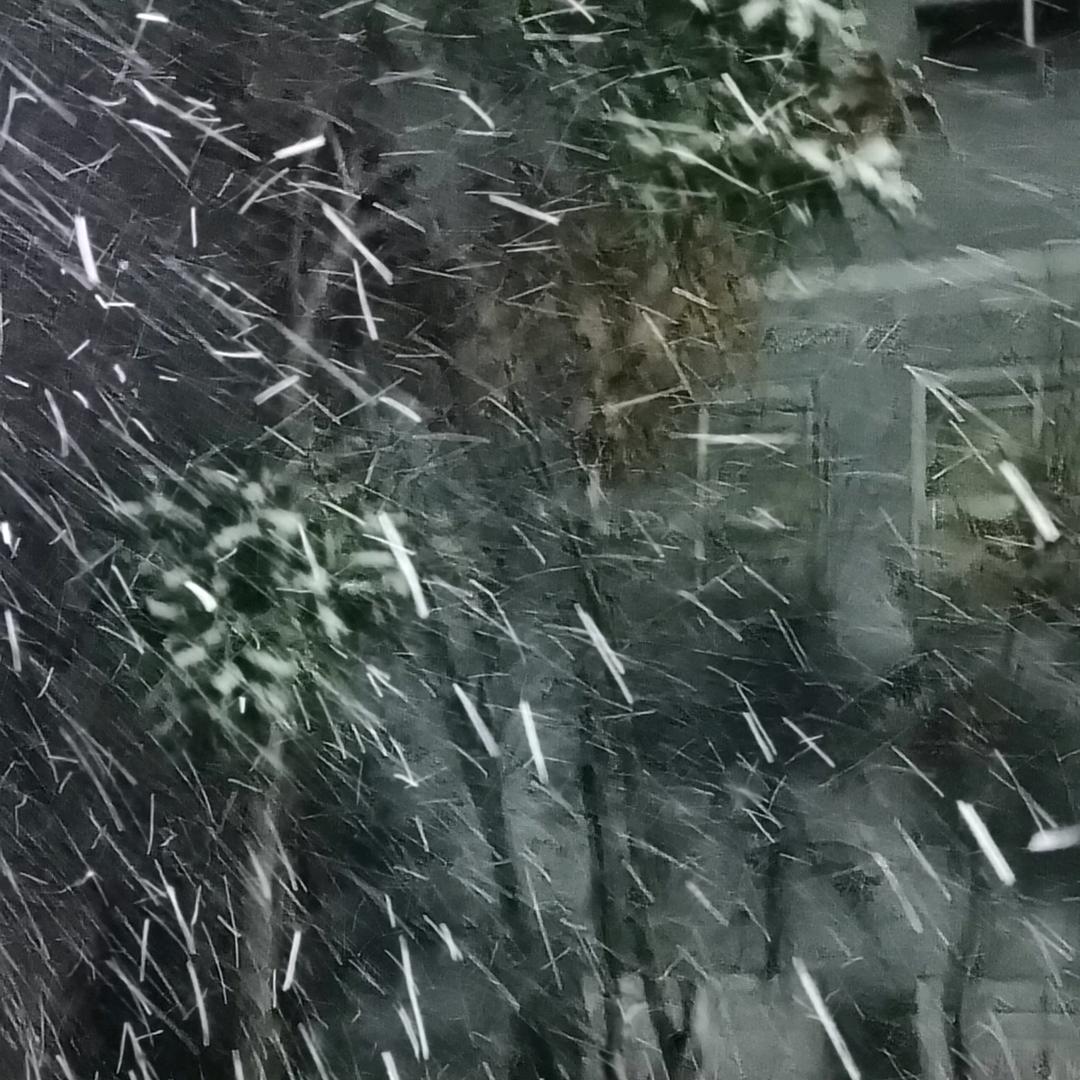 邢晓华
