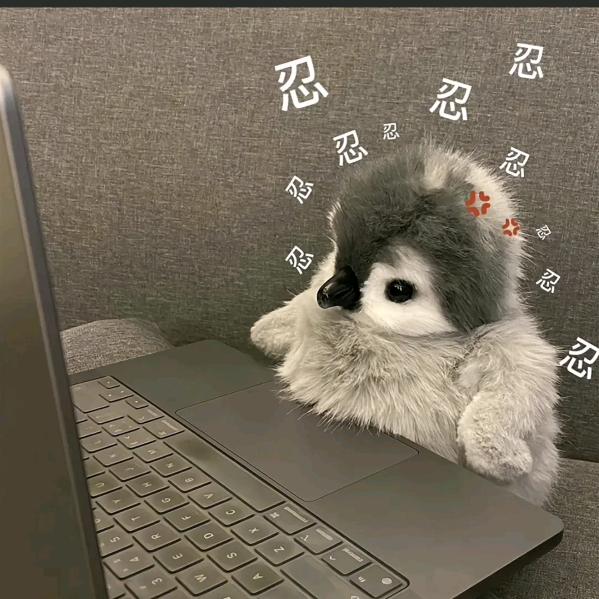 好运加满⁺¹🥬