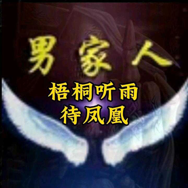 梧桐听雨待凤凰【男家人】