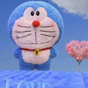 💞云梦泽💞