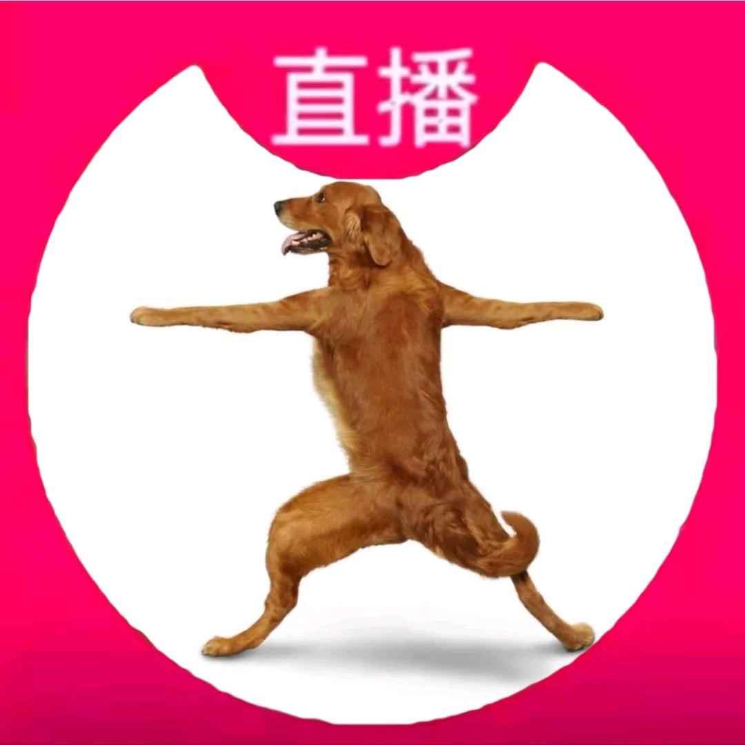 大狗狗侍郎