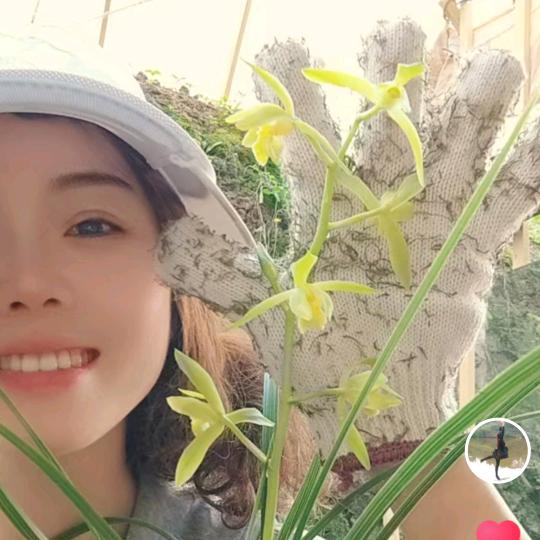 花影