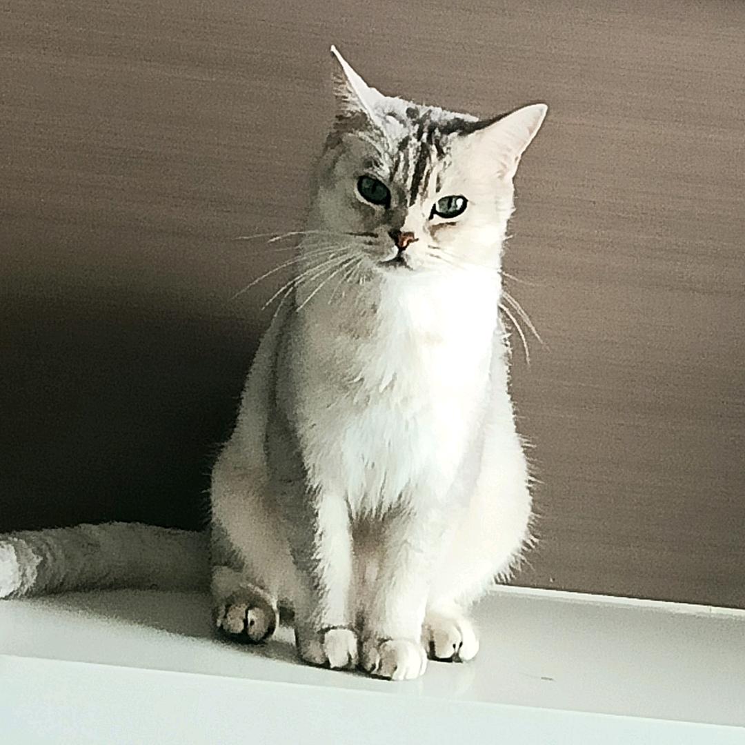 幺妹