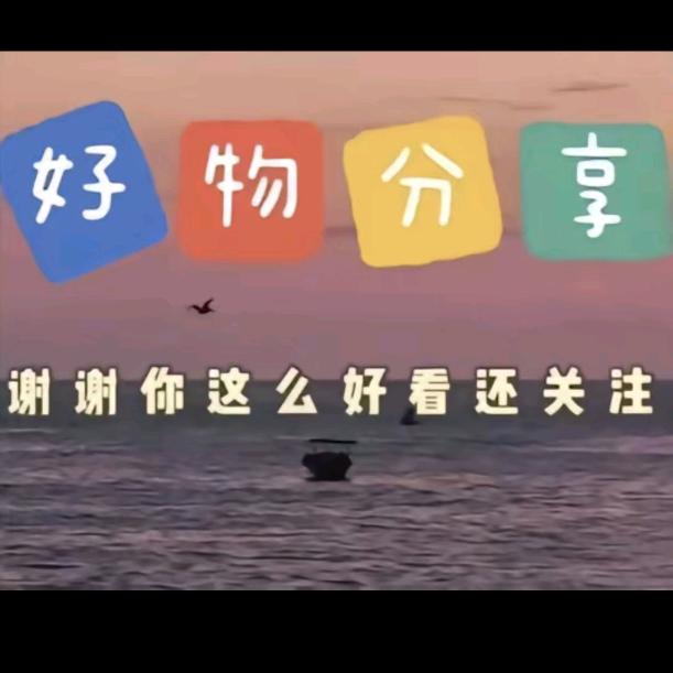 福建林姐