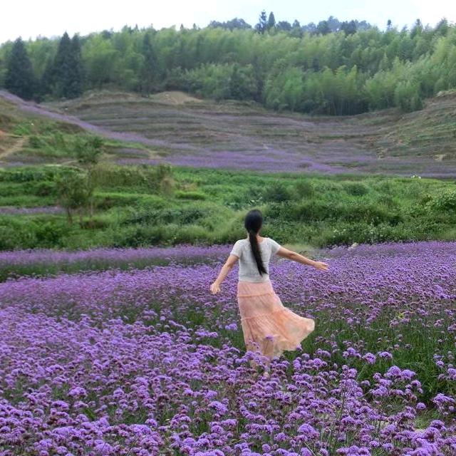 行云流水