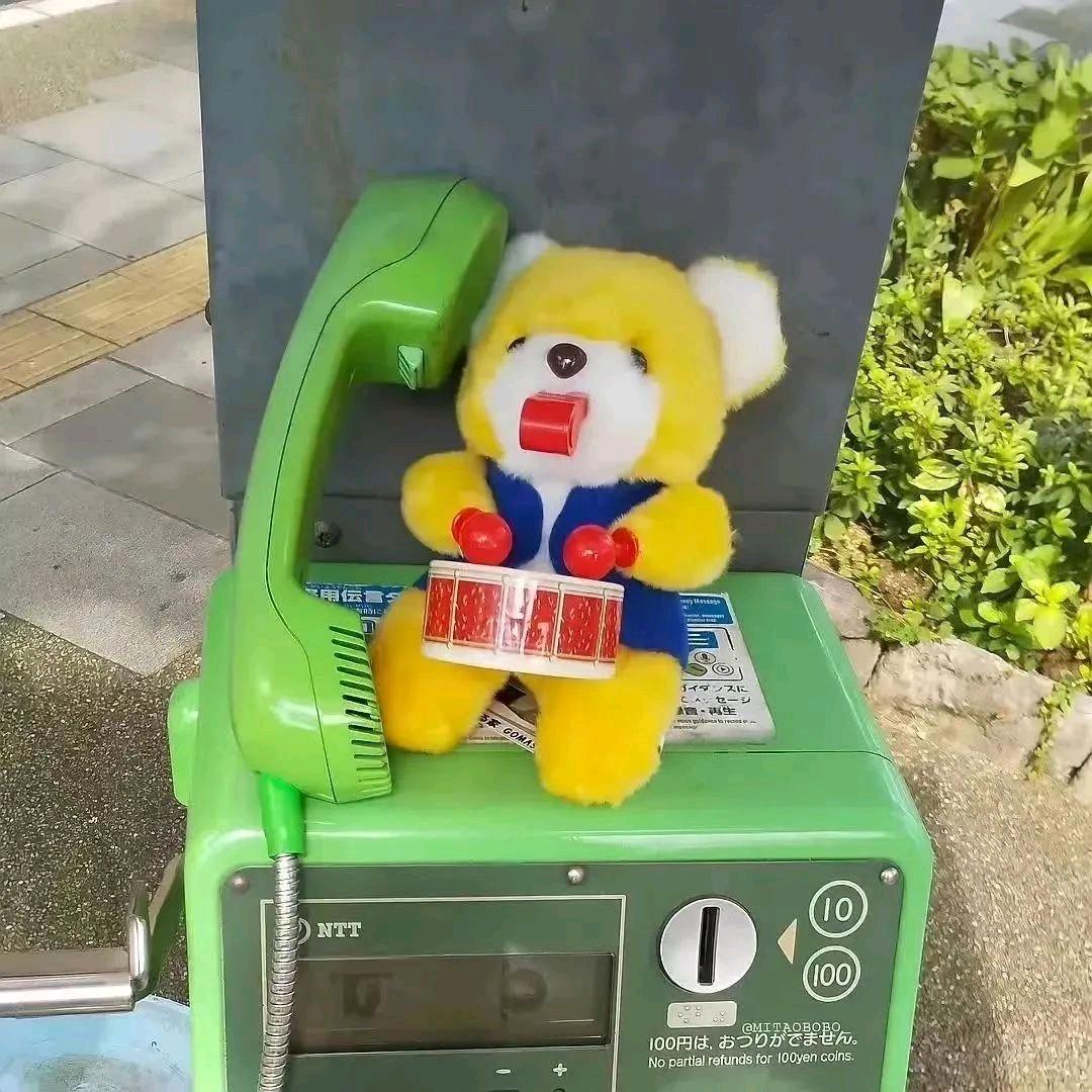 监督杜卡迪🍔