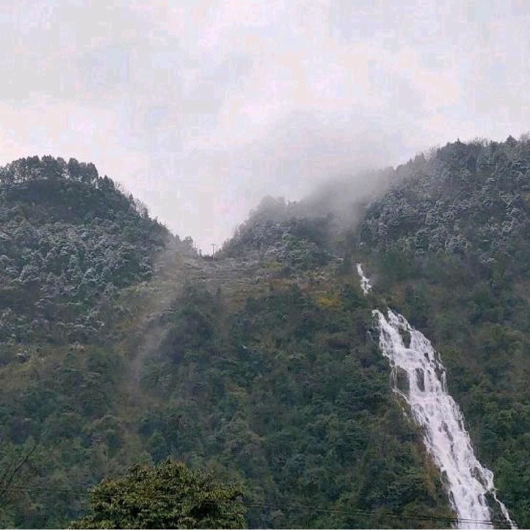 我是一个单身家庭。685873