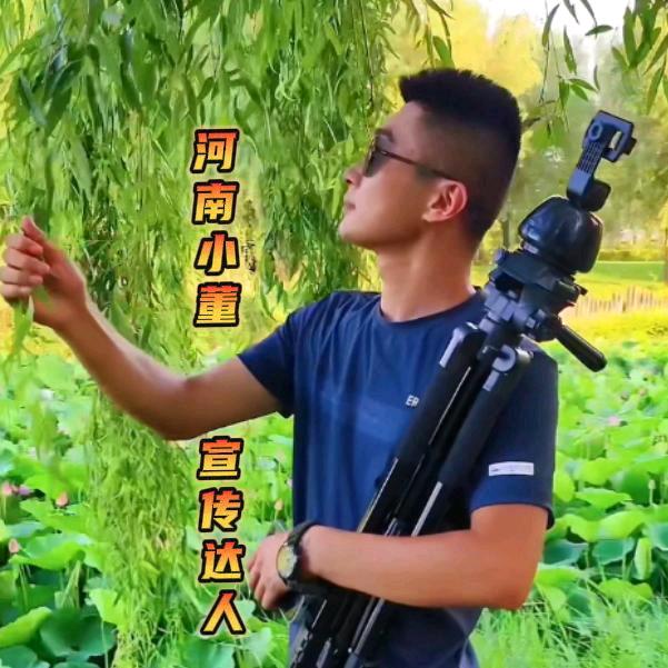 河南小董✨宣传达人