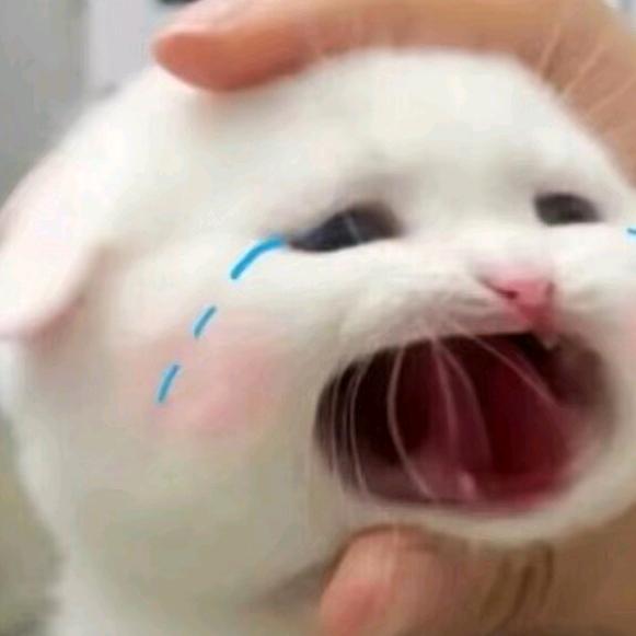 梦心