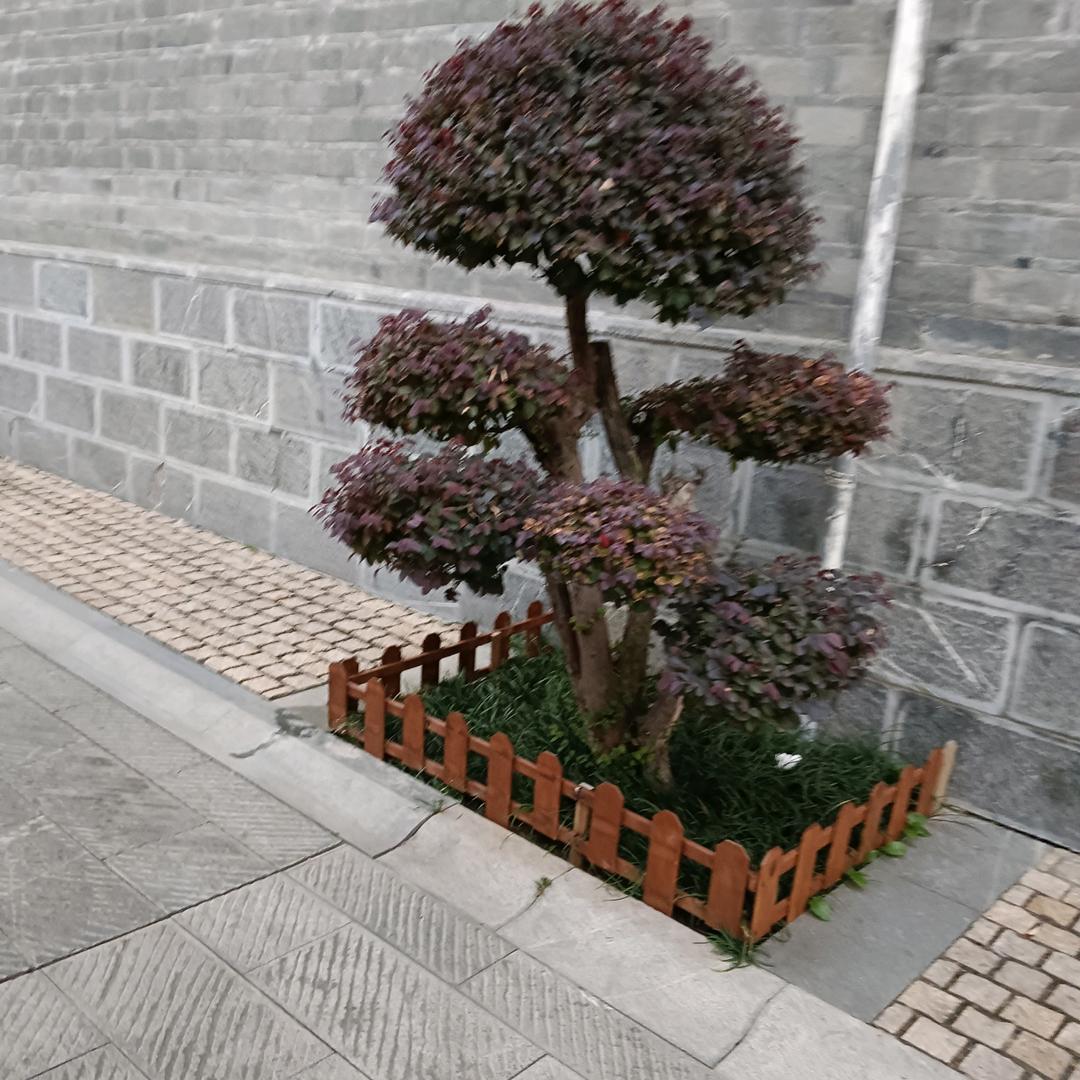 顺其自然