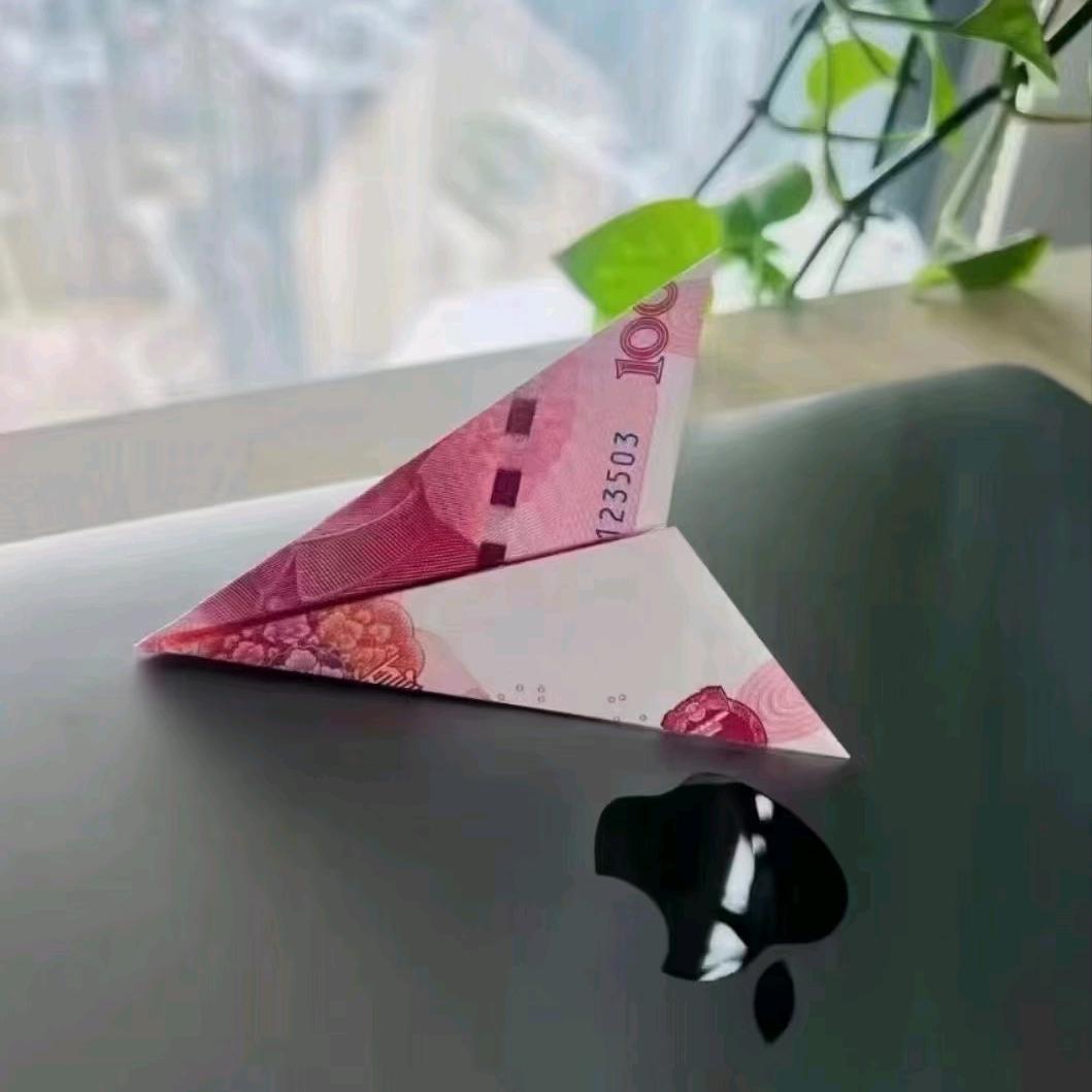 郁金香一吖
