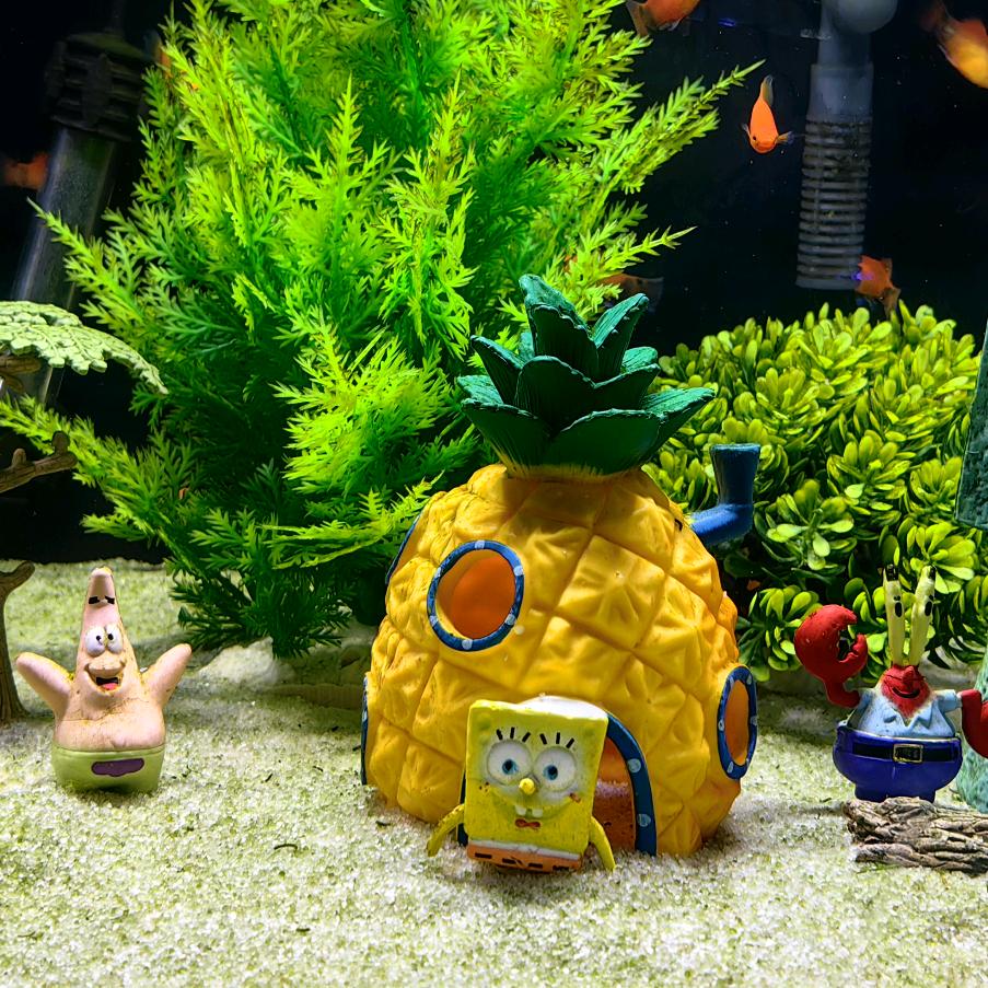 开开心心过好一天