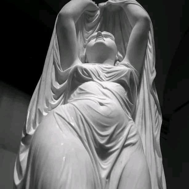 医生给我打点百威